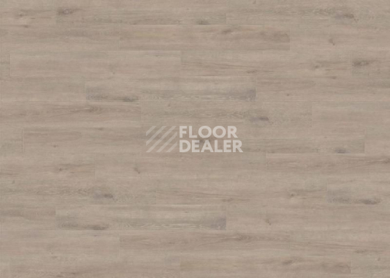 Ламинат Haro Tritty 200 Aqua 4V ДУБ ВЕНЕТО МОККА 537373 фото 1 | FLOORDEALER